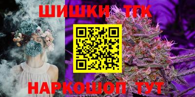 apvp Канаш