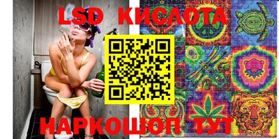 ALPHA-PVP Камышлов
