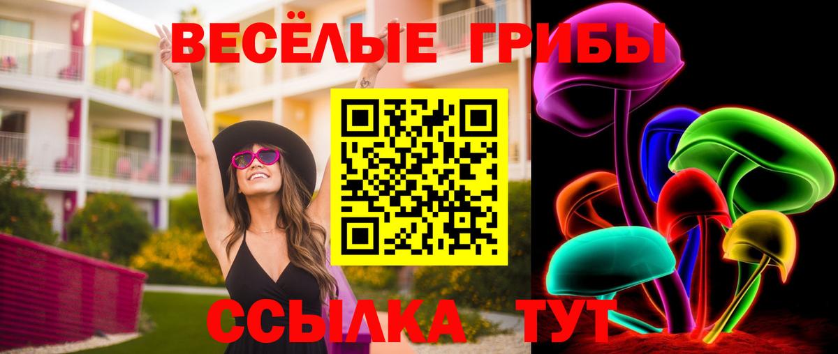 Галлюциногенные грибы прущие грибы Курчатов