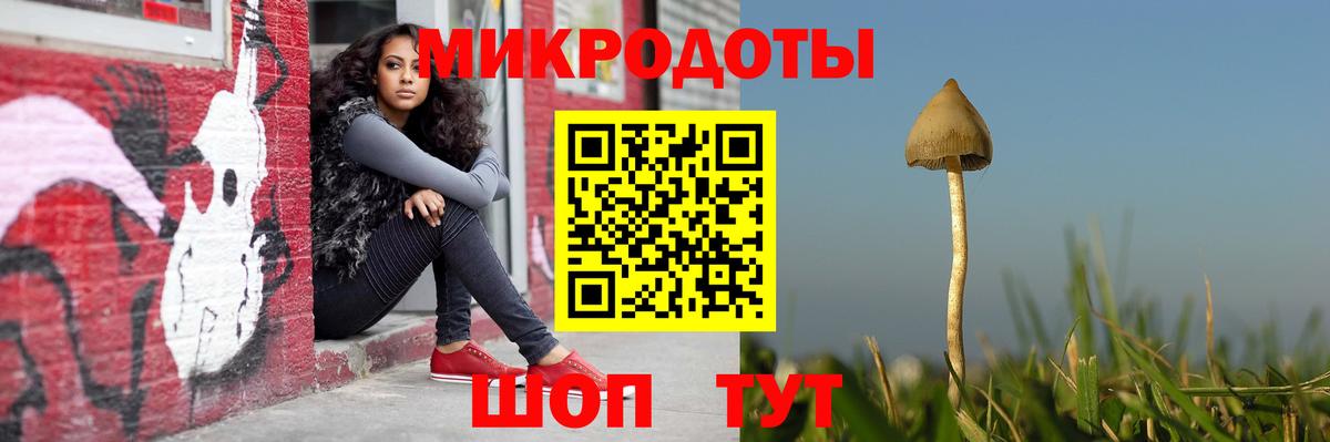 Псилоцибиновые грибы MAGIC MUSHROOMS  Вход с VPN  Псилоцибиновые грибы Psilocybe  Курчатов 
